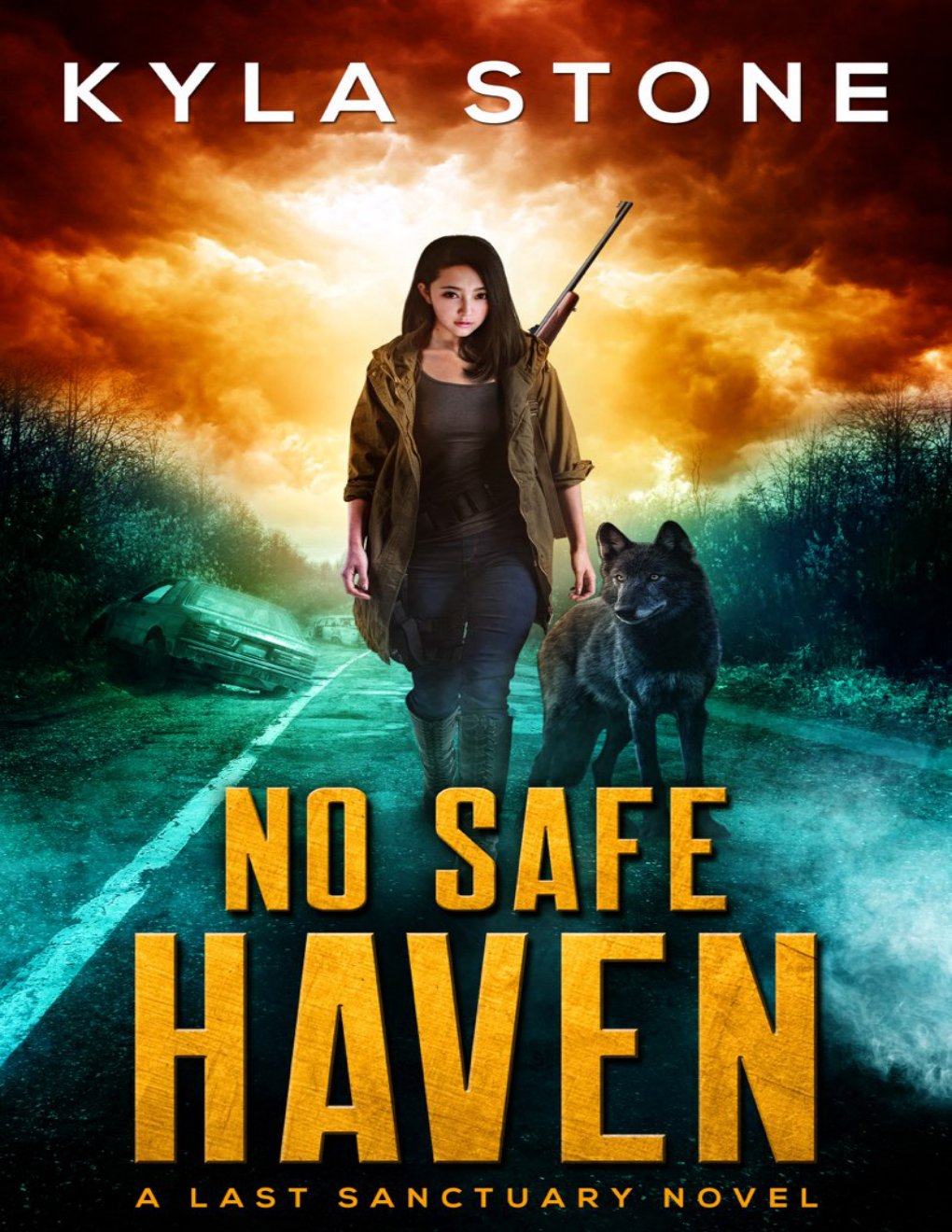 Cover of No Safe Haven