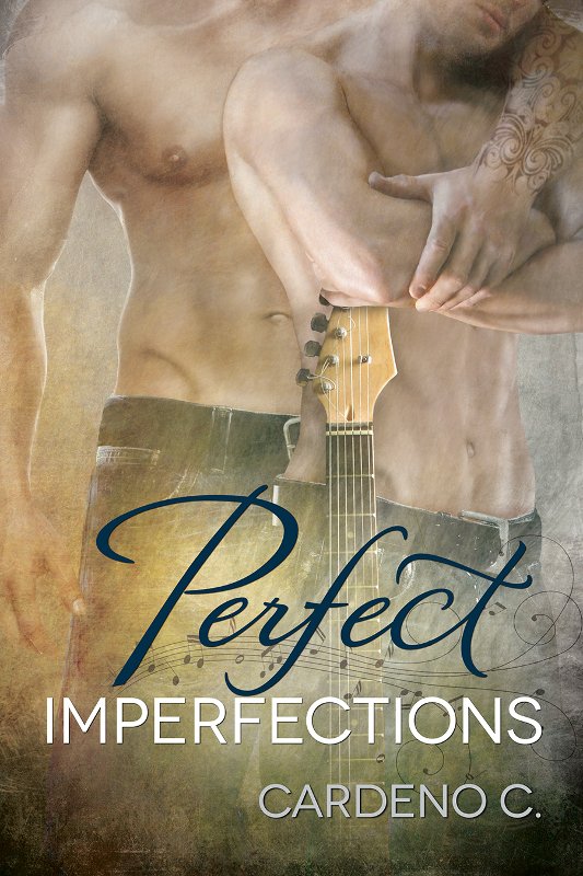 Cover of Perfect Imperfections (2014)