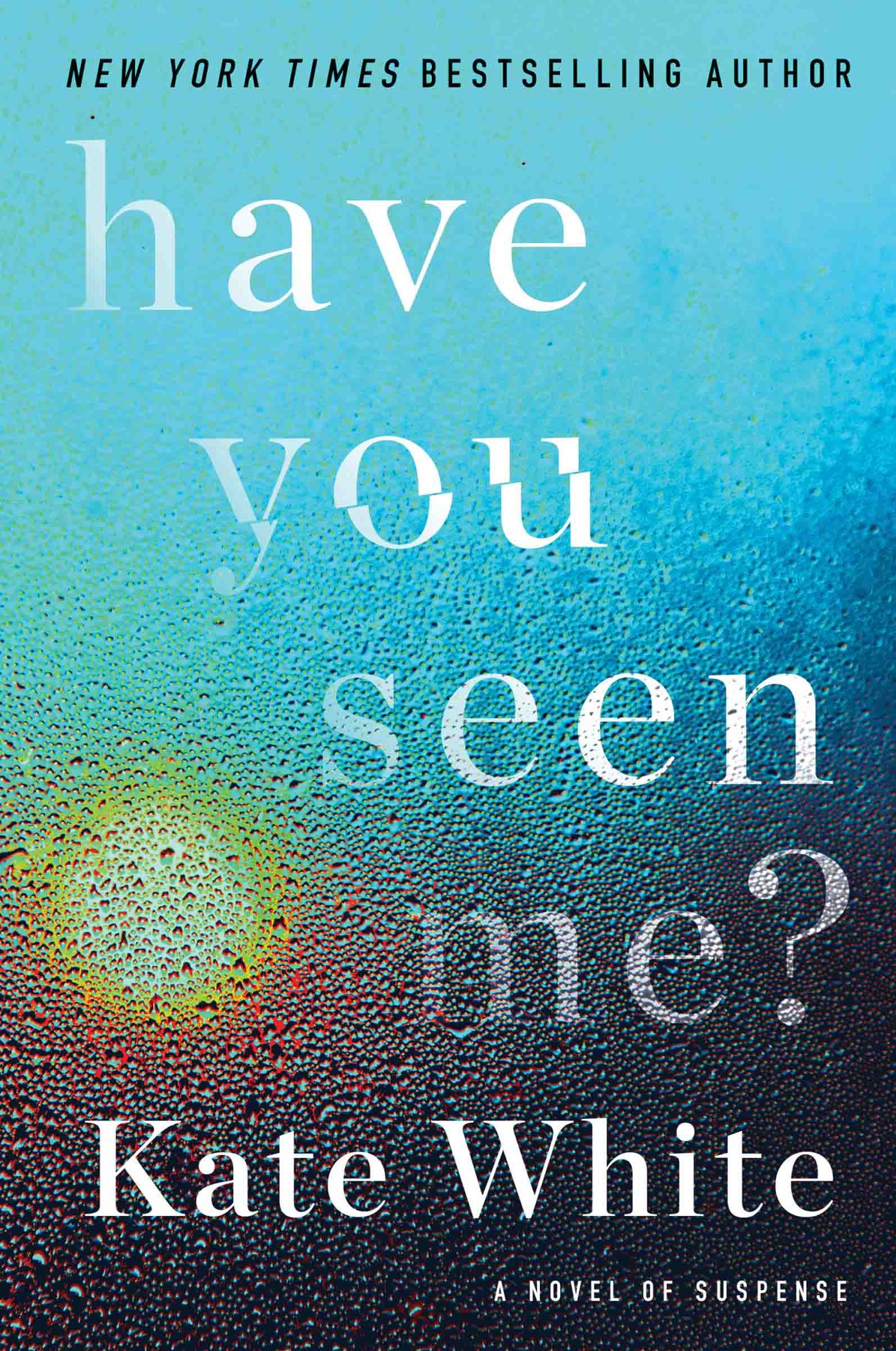 Cover of Have You Seen Me (2020)