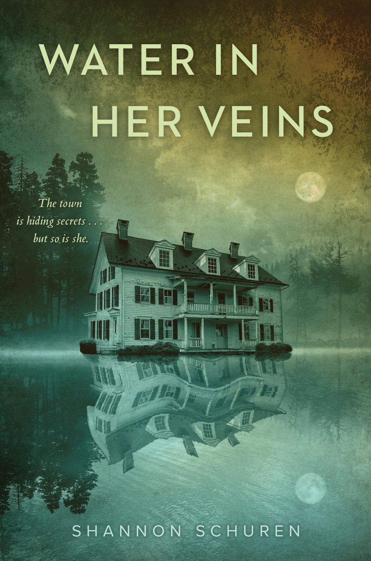 Cover of Water in Her Veins