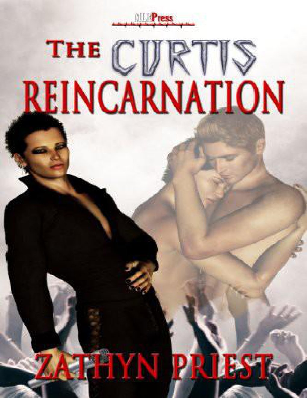 Cover of The Curtis Reincarnation