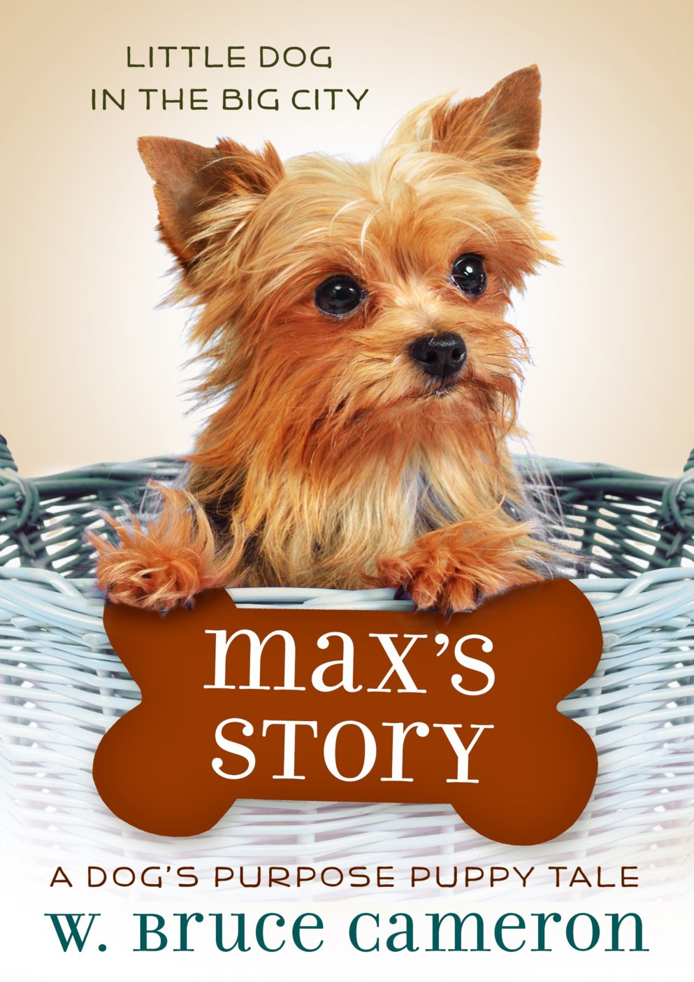 Cover of Max's Story