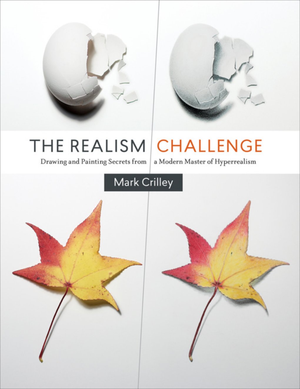 Cover of Realism Challenge