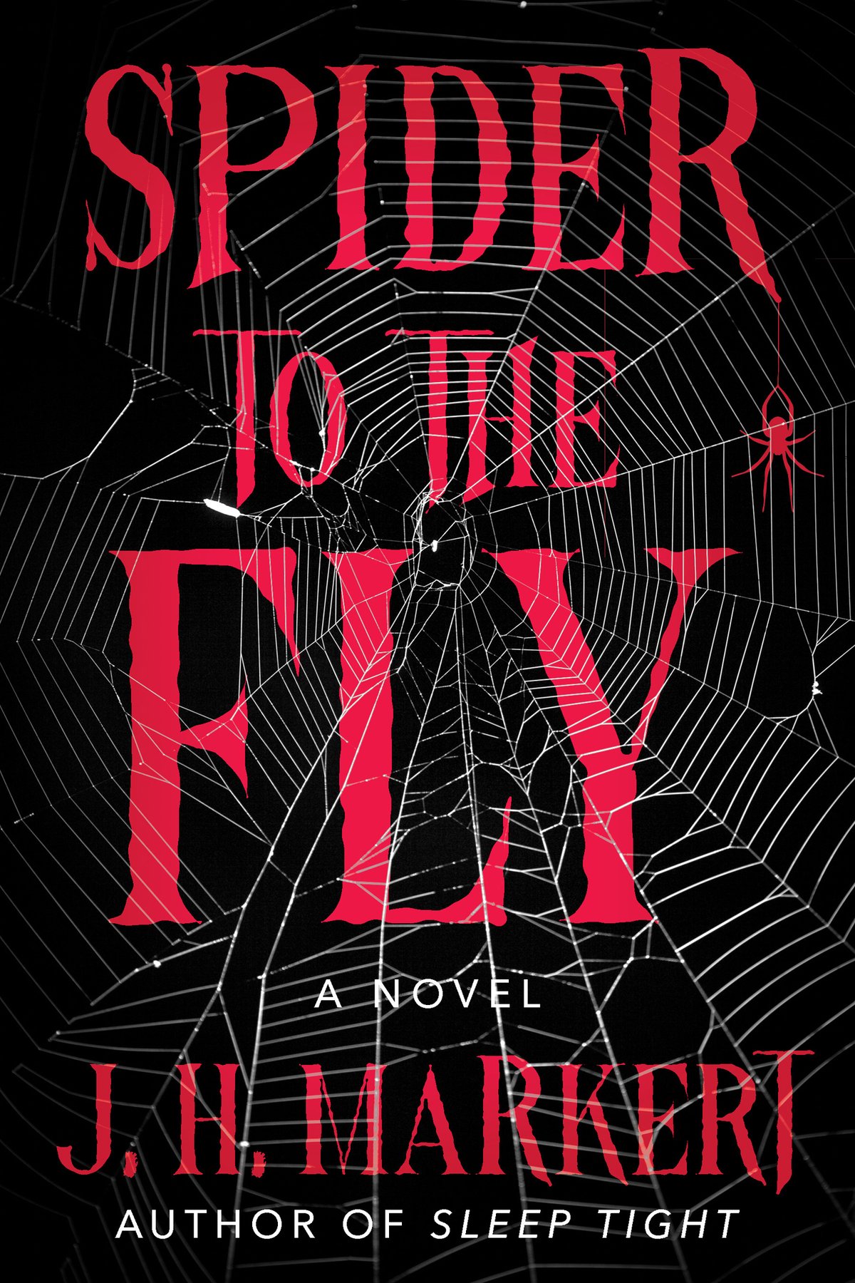 Cover of Spider to the Fly