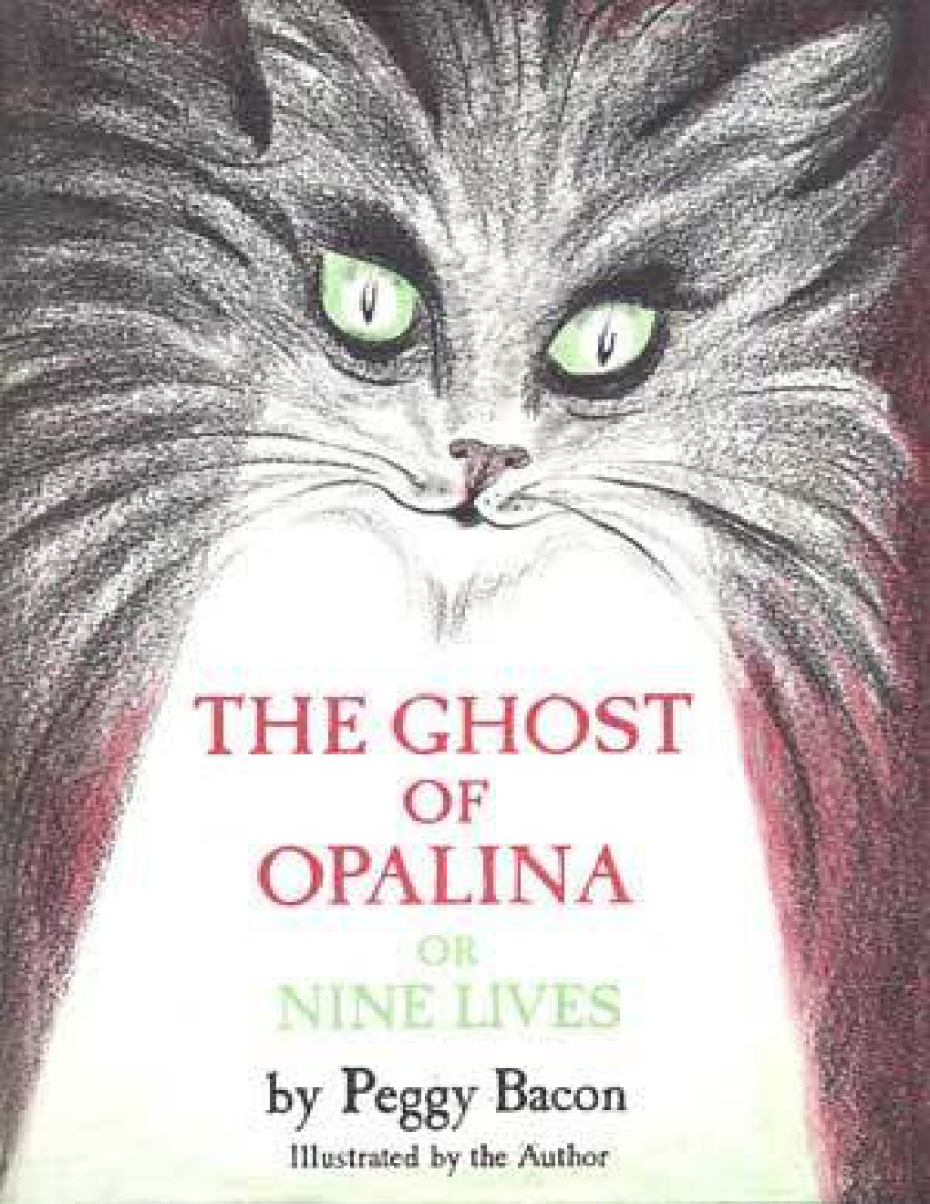 Cover of The Ghost of Opalina