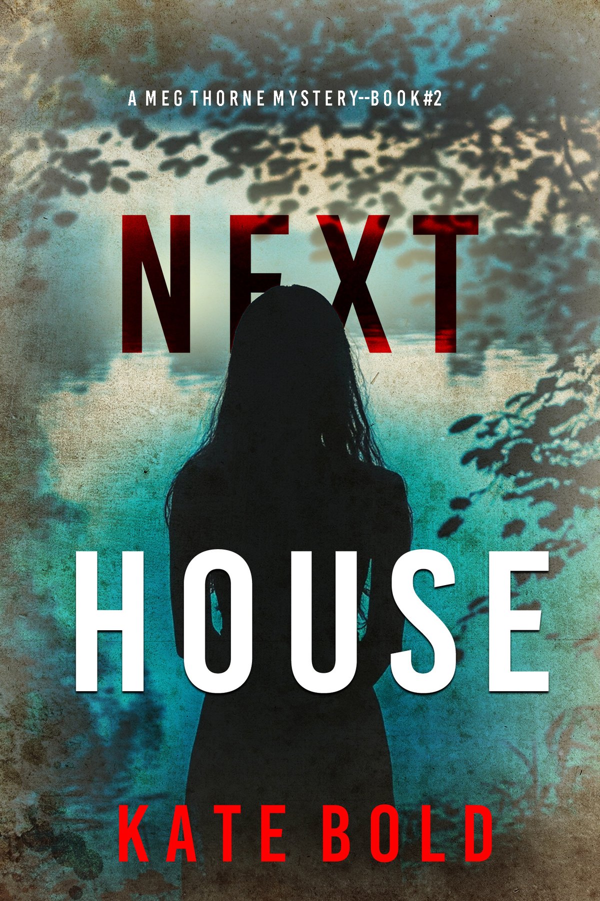 Cover of NEXT HOUSE
