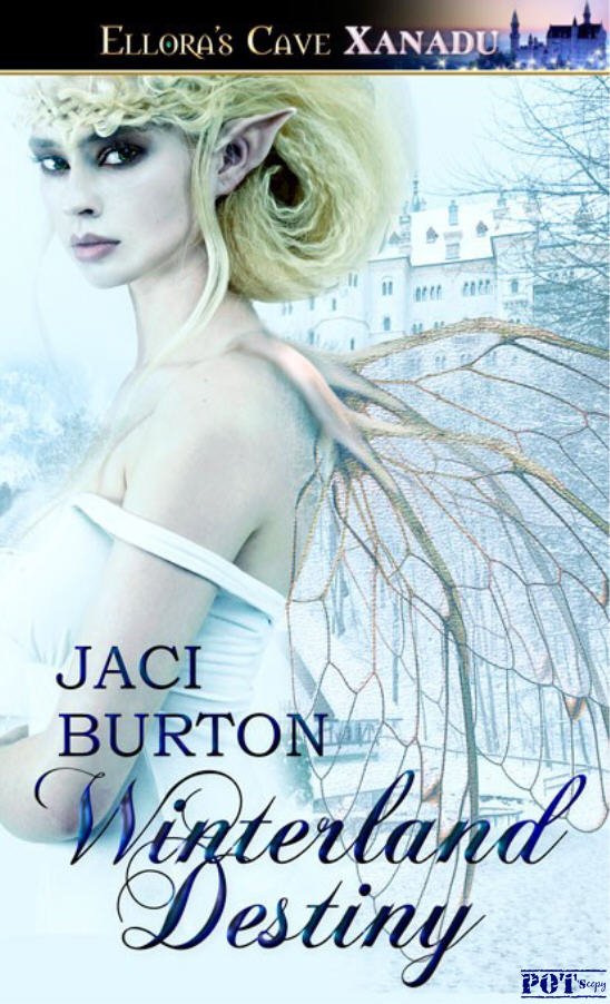Cover of Winterland Destiny