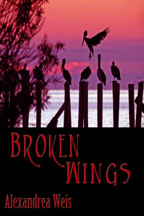 Cover of Broken Wings