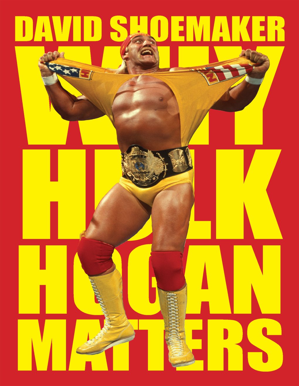 Cover of Why Hulk Hogan Matters