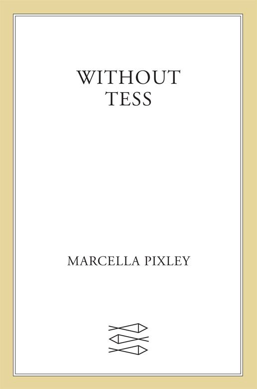 Cover of Without Tess