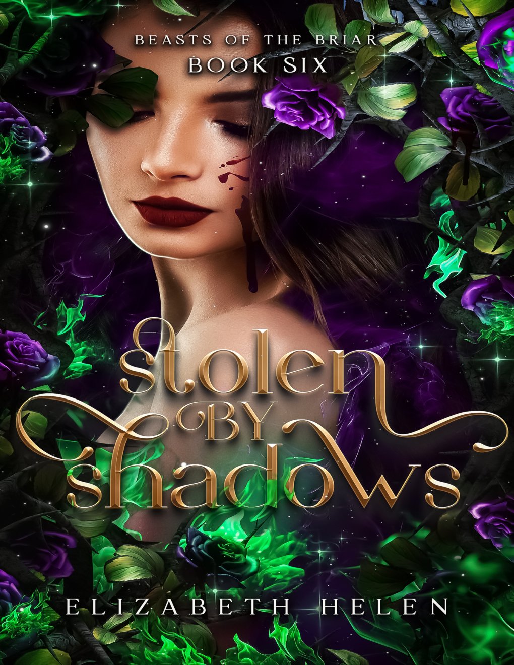 Cover of Stolen by Shadows