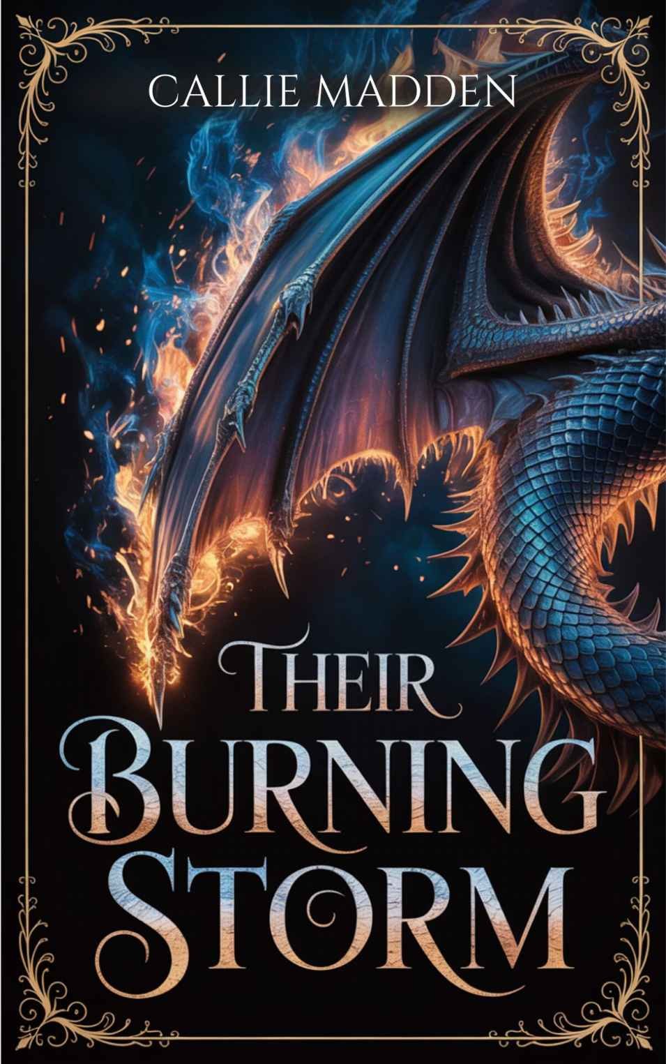 Cover of Their Burning Storm (2025)