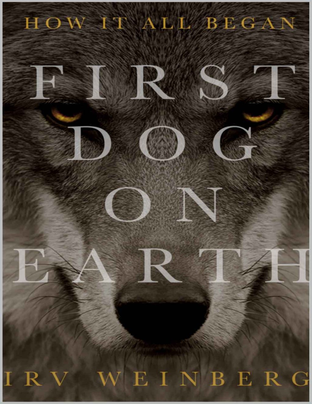 Cover of First Dog on Earth