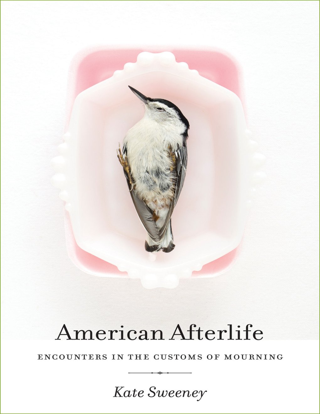 Cover of American Afterlife