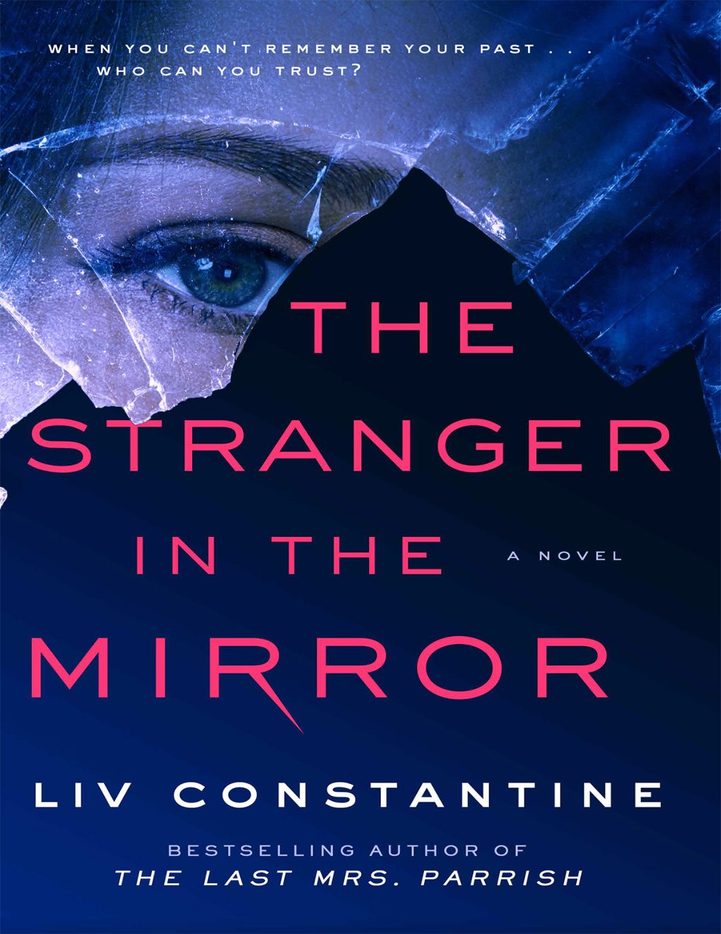 Cover of The Stranger in the Mirror