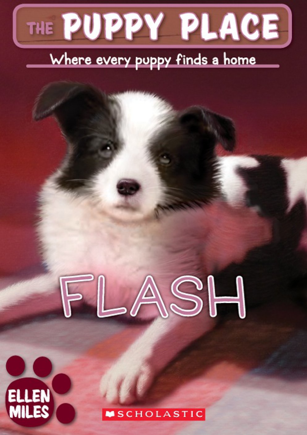 Cover of Flash (2006)