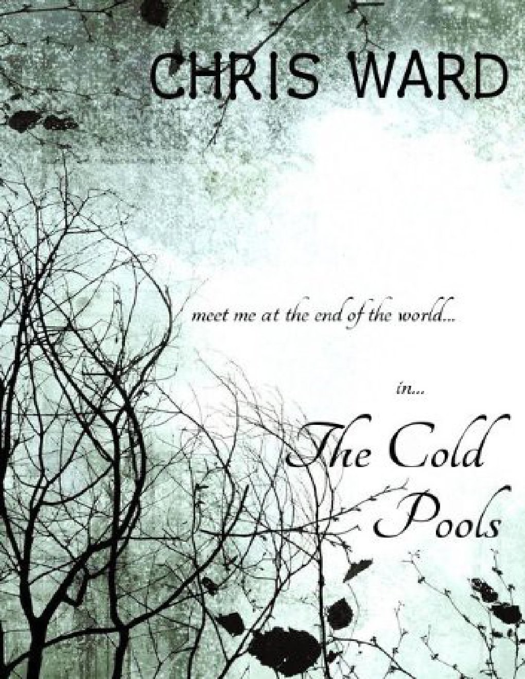 Cover of The Cold Pools