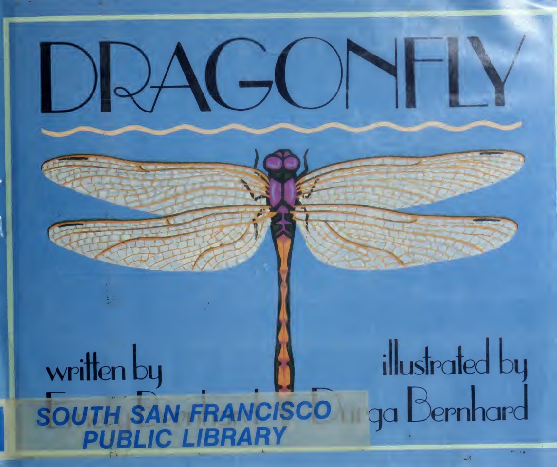 Cover of Dragonfly