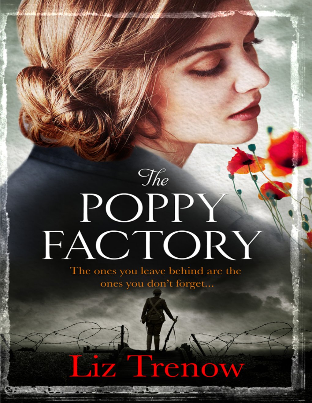 Cover of Poppy Factory, The