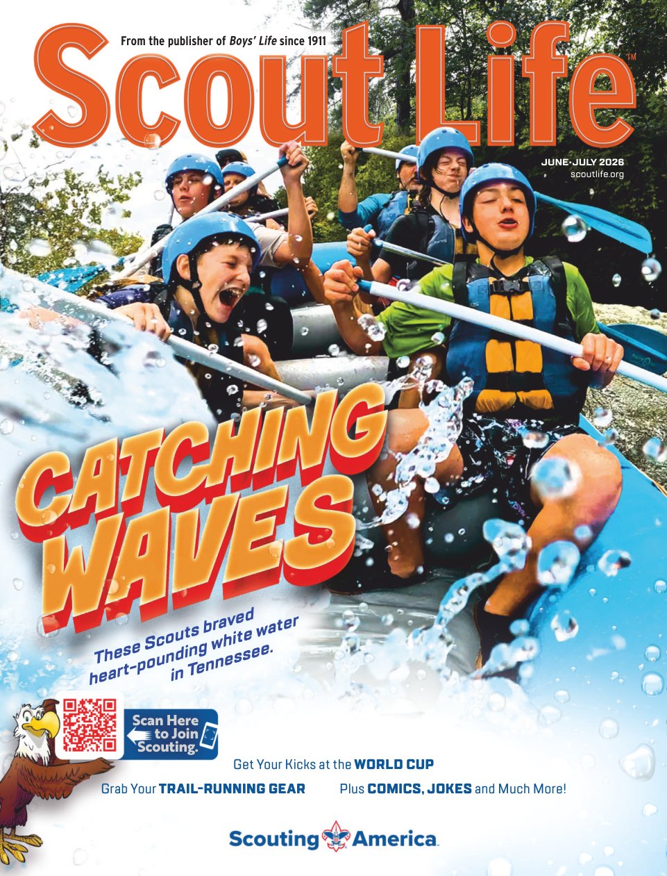 Cover of These Scouts braved