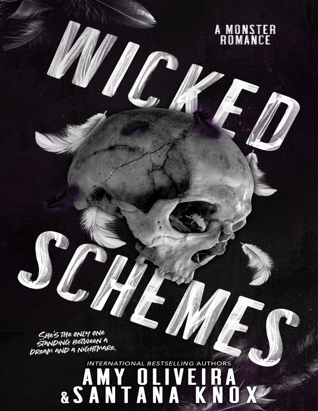 Cover of Wicked Schemes: A nightmare monster romance