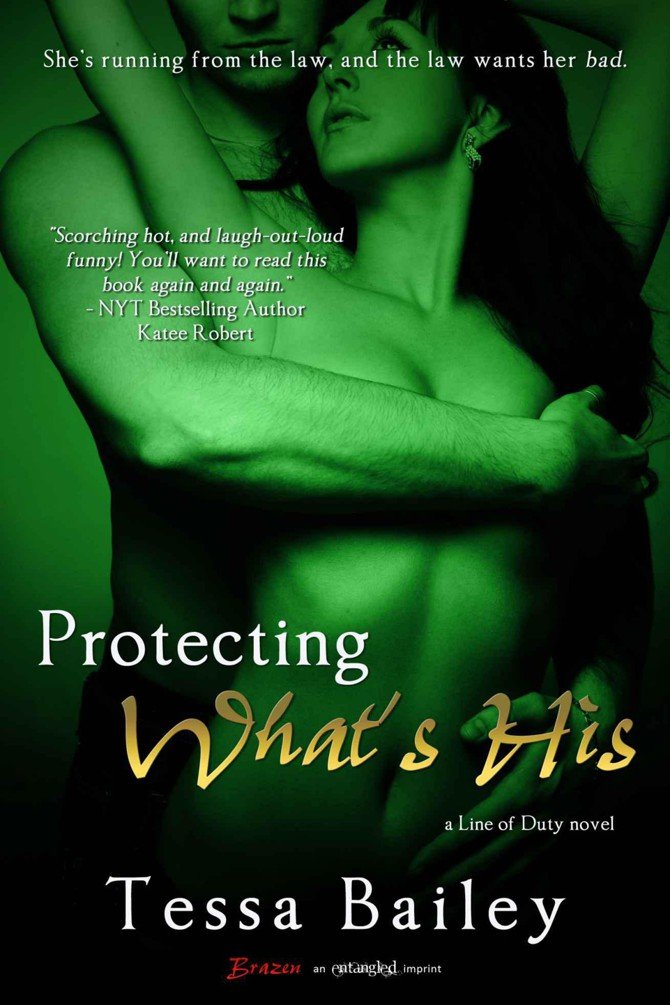 Cover of Protecting What's His