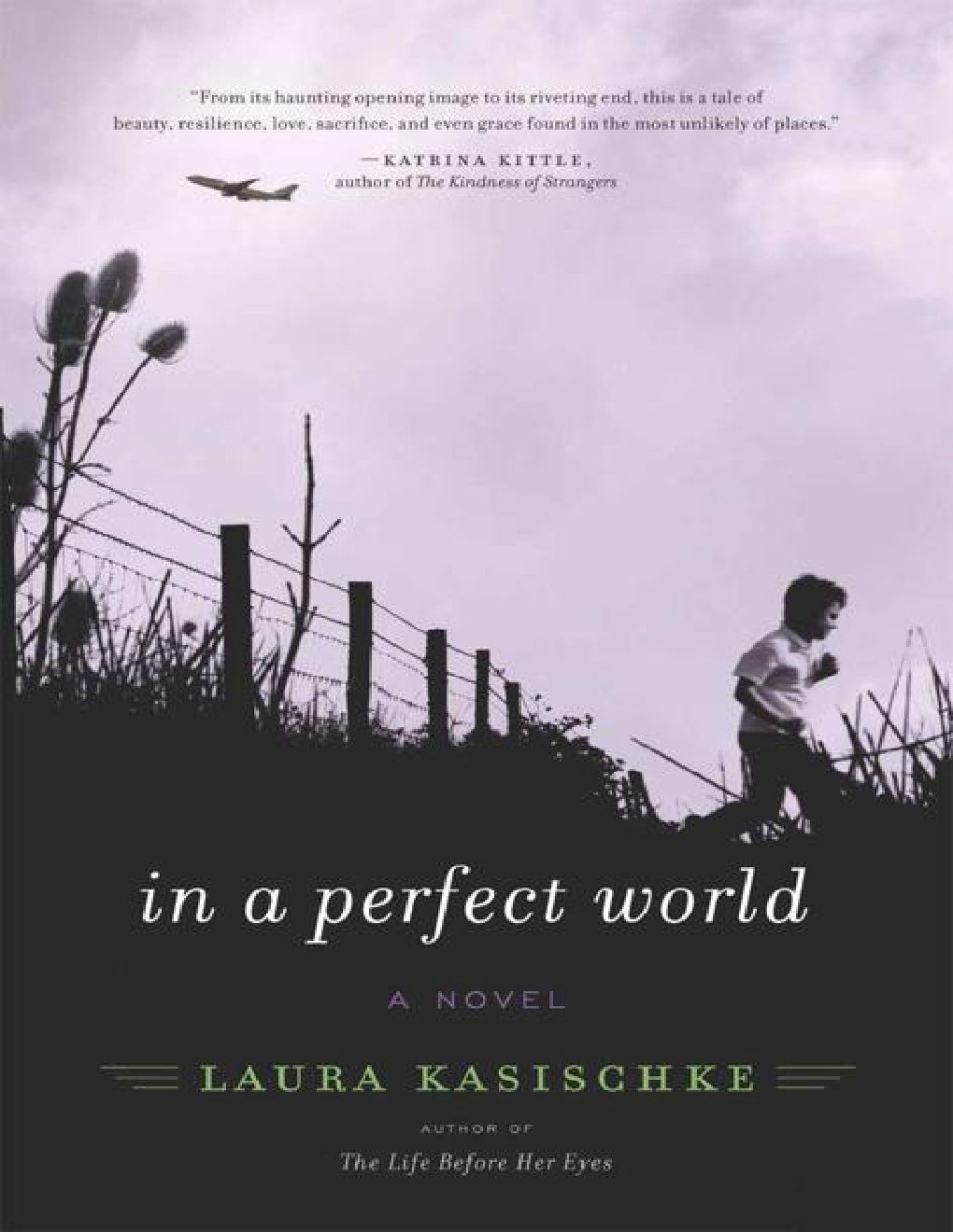 Cover of In a Perfect World (2009)