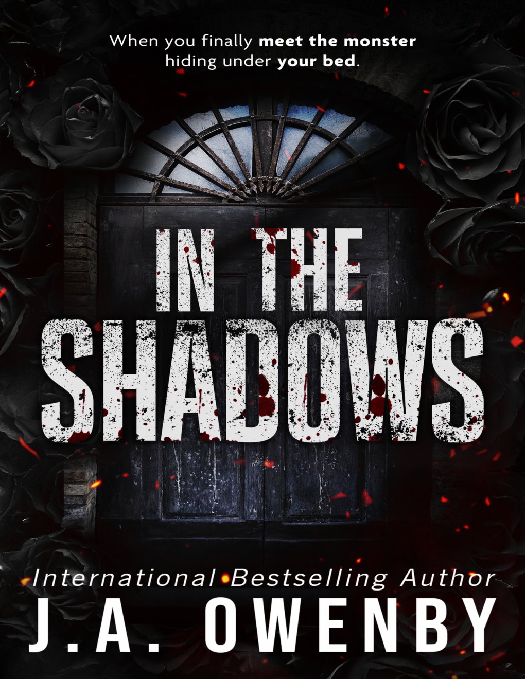 Cover of In the Shadows