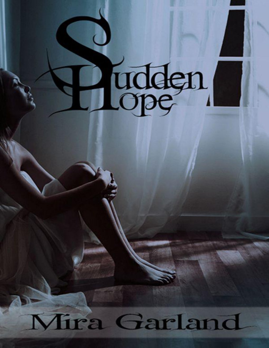 Cover of Sudden Hope