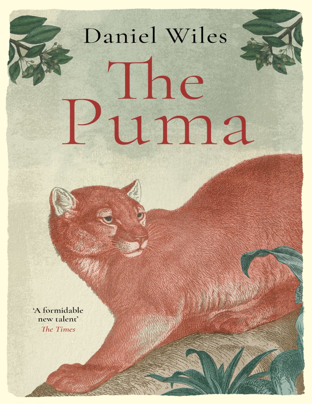 Cover of The Puma