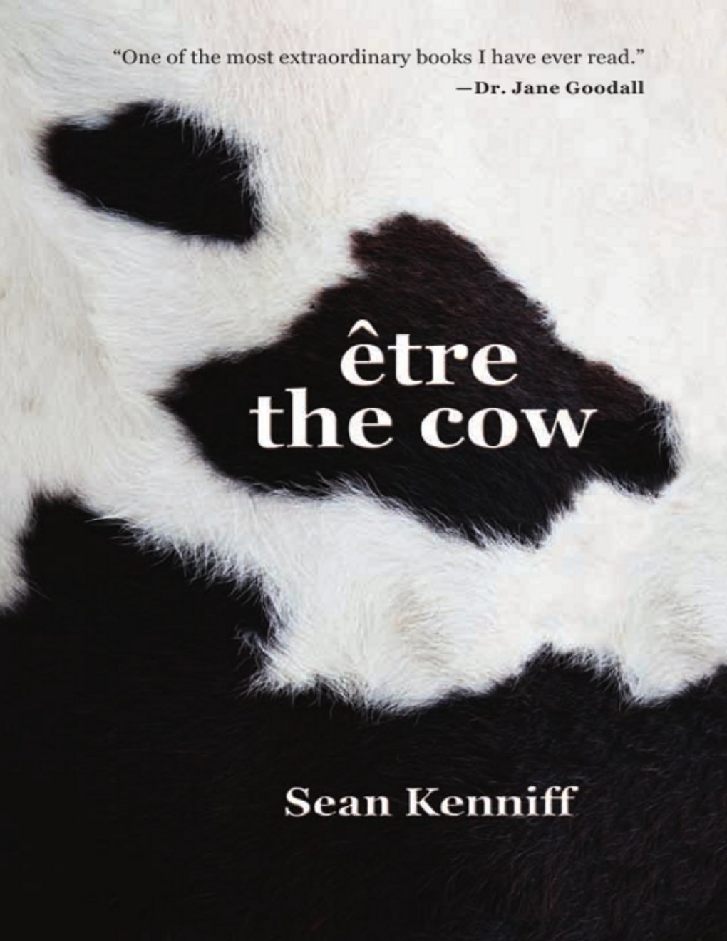 Cover of Etre the Cow (2000)