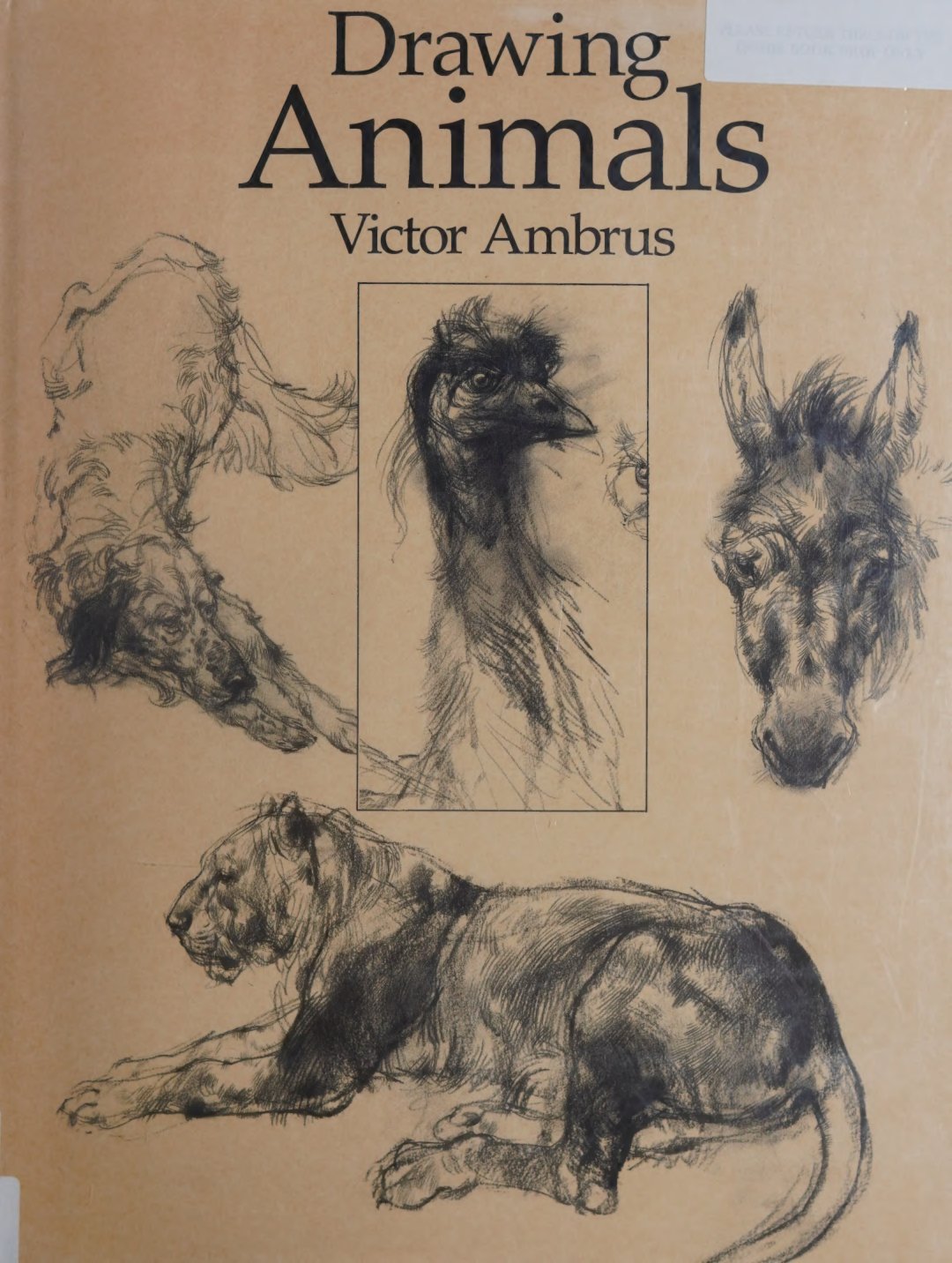 Cover of Drawing Animals