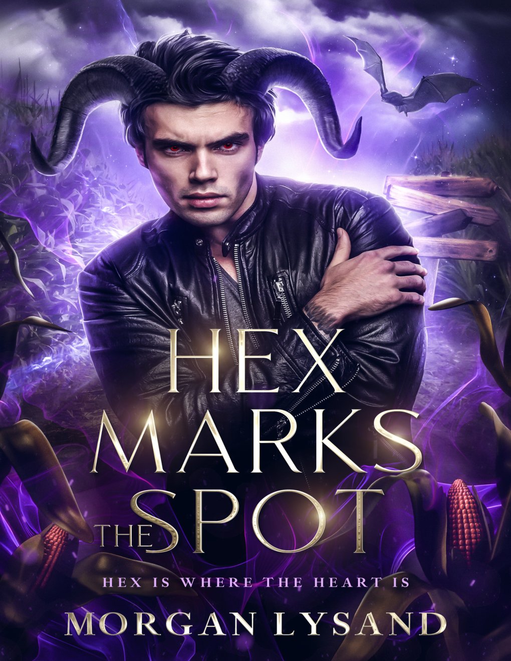Cover of Hex Marks The Spot