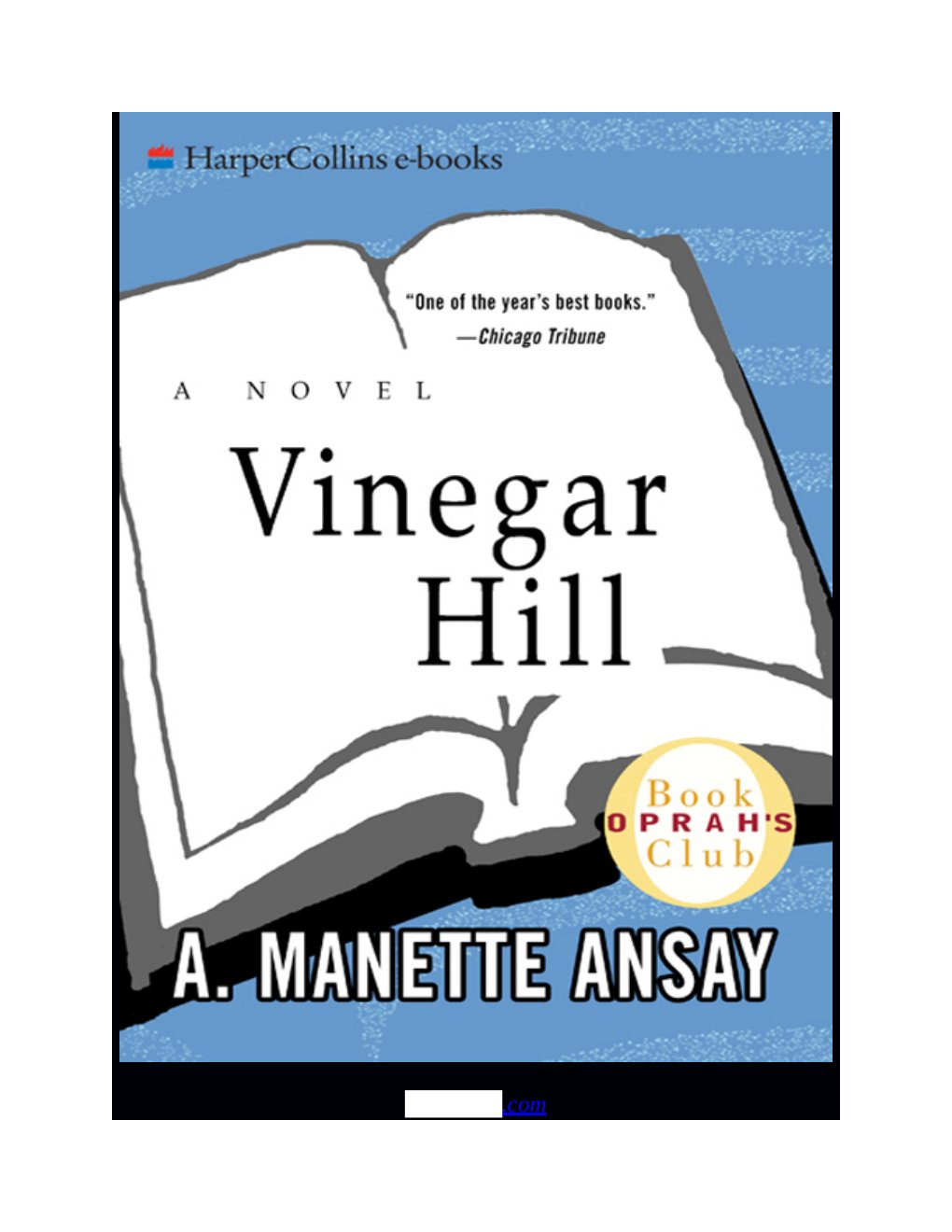 Cover of Vinegar Hill (2006)