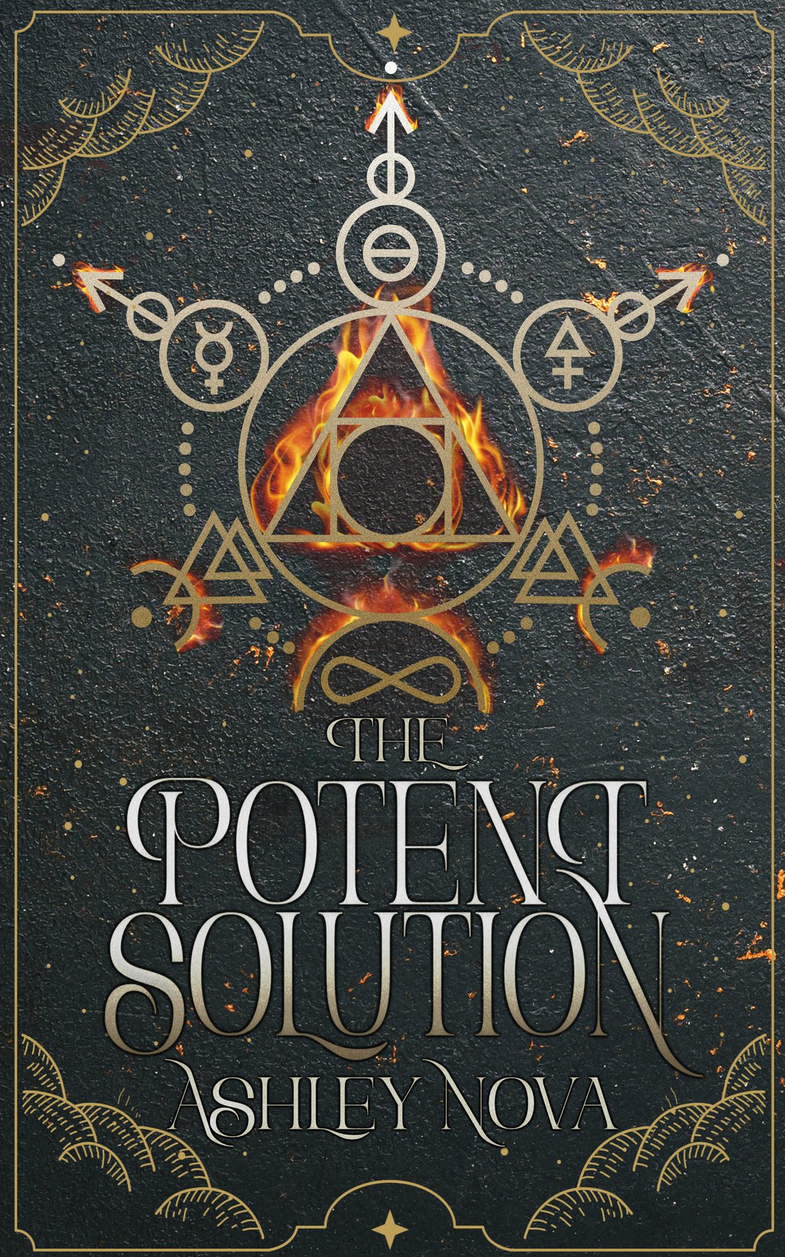 Cover of The Potent Solution