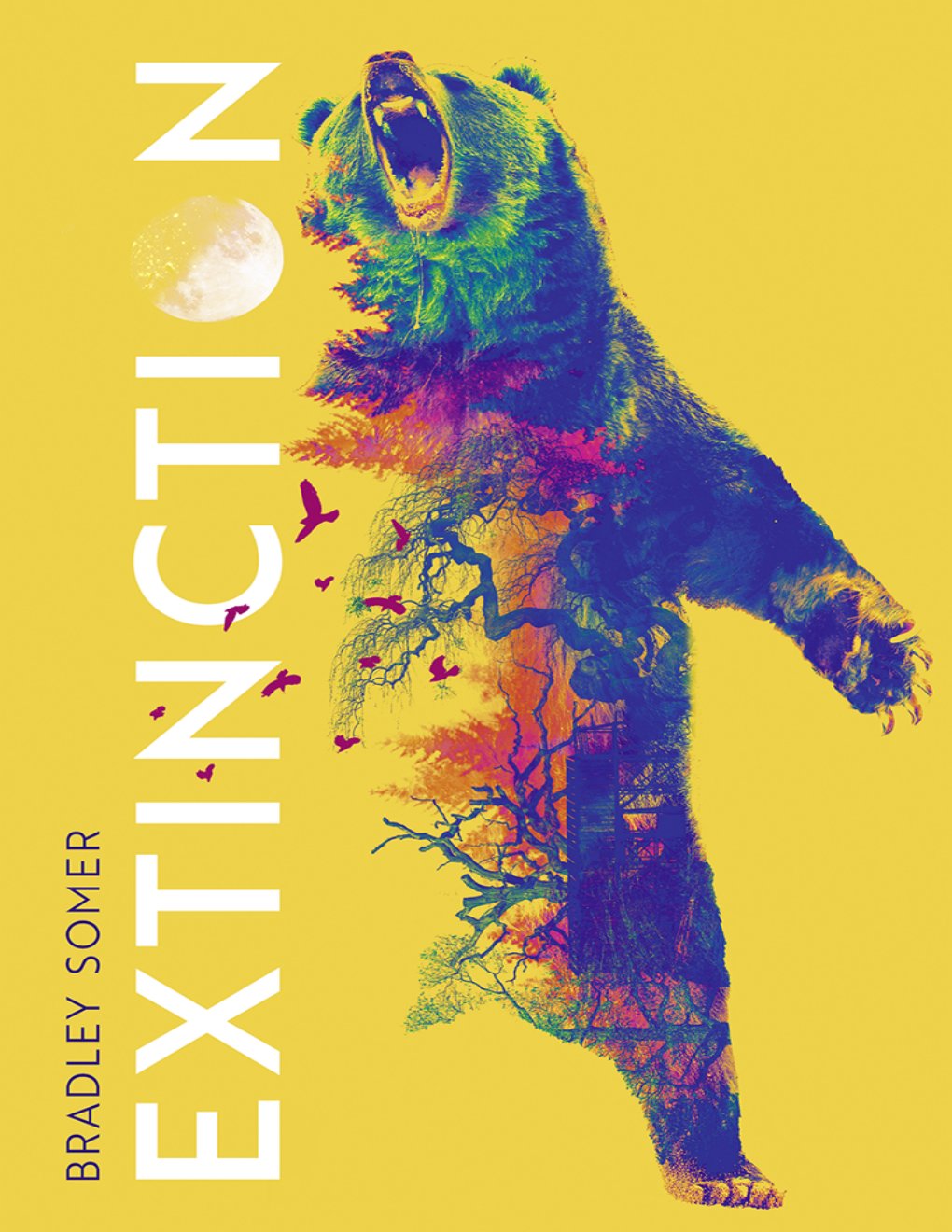 Cover of Extinction