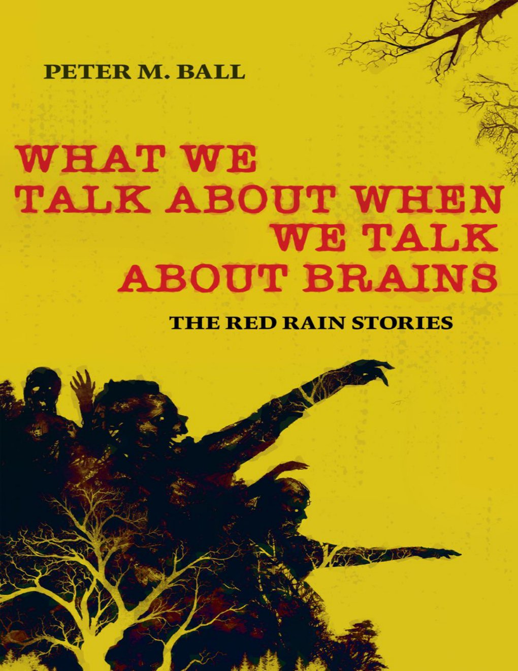 Cover of What We Talk About When We Talk About Brains