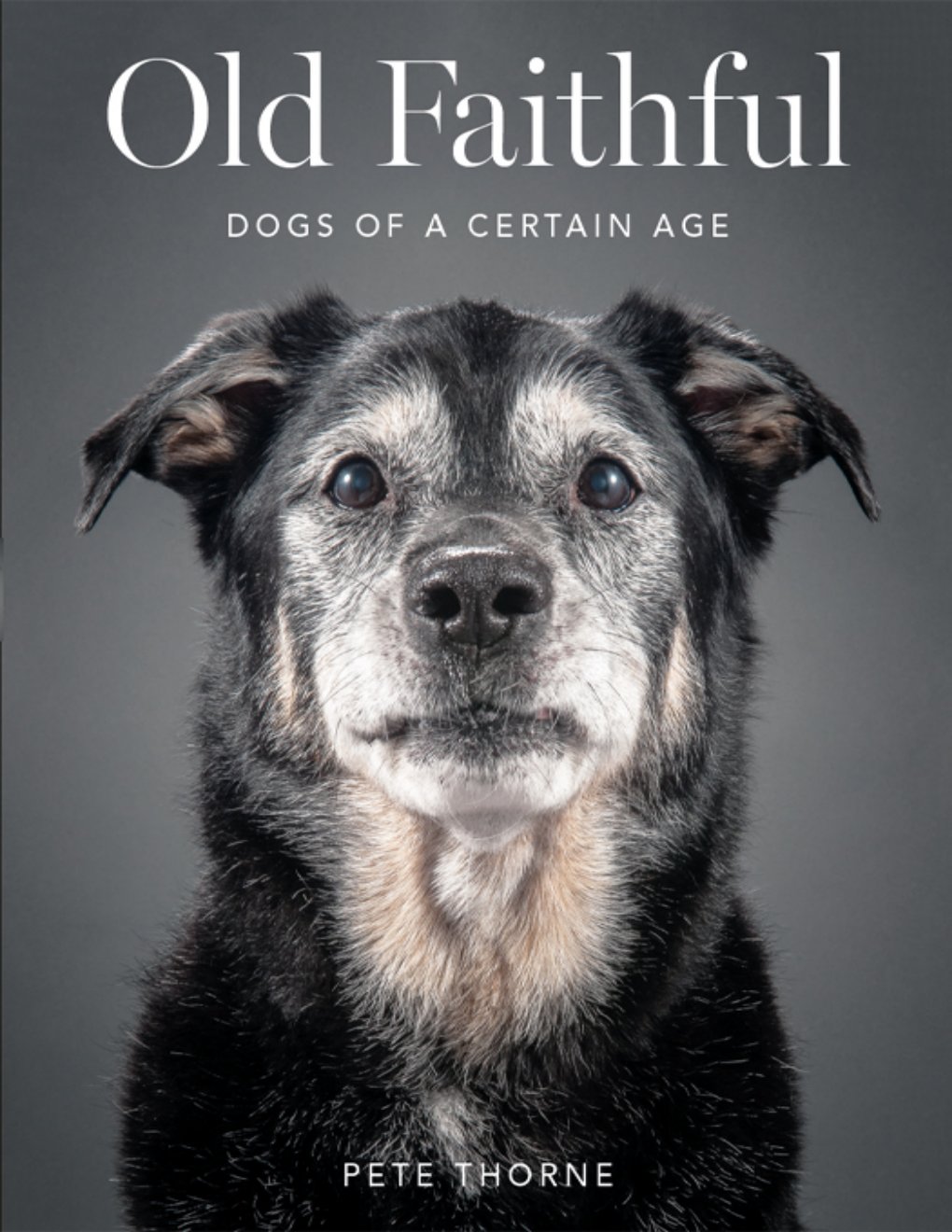 Cover of Old Faithful