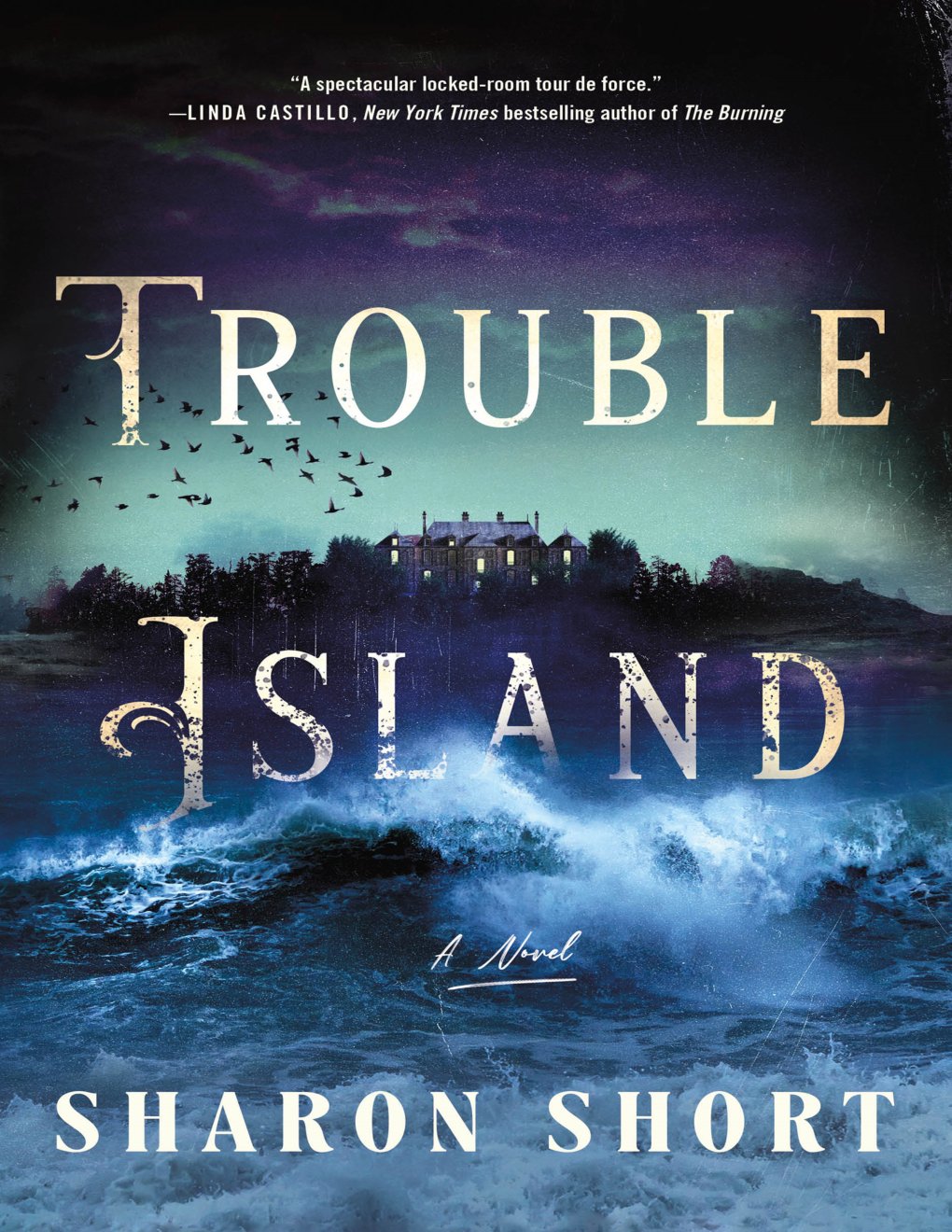Cover of Trouble Island
