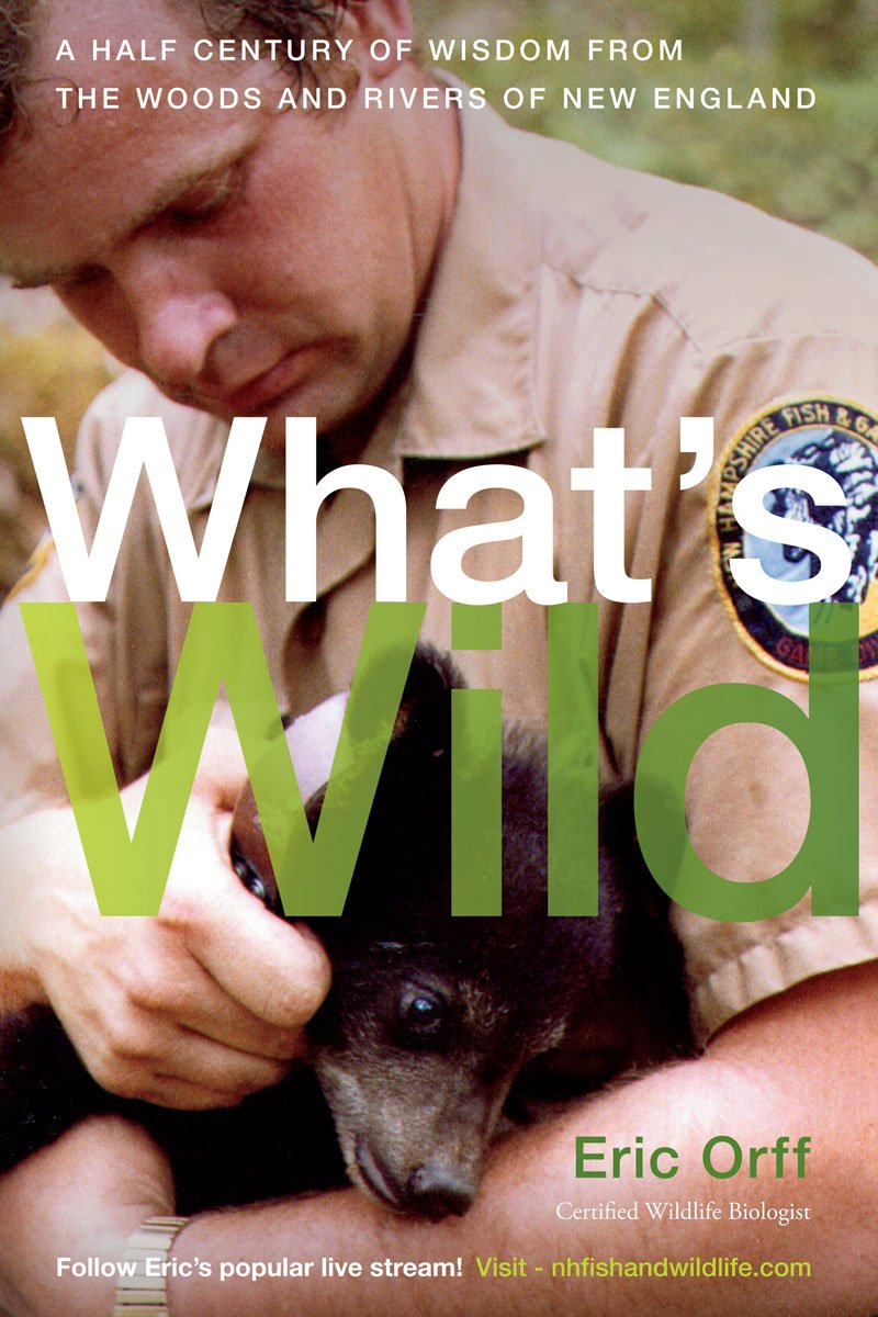 Cover of What's Wild