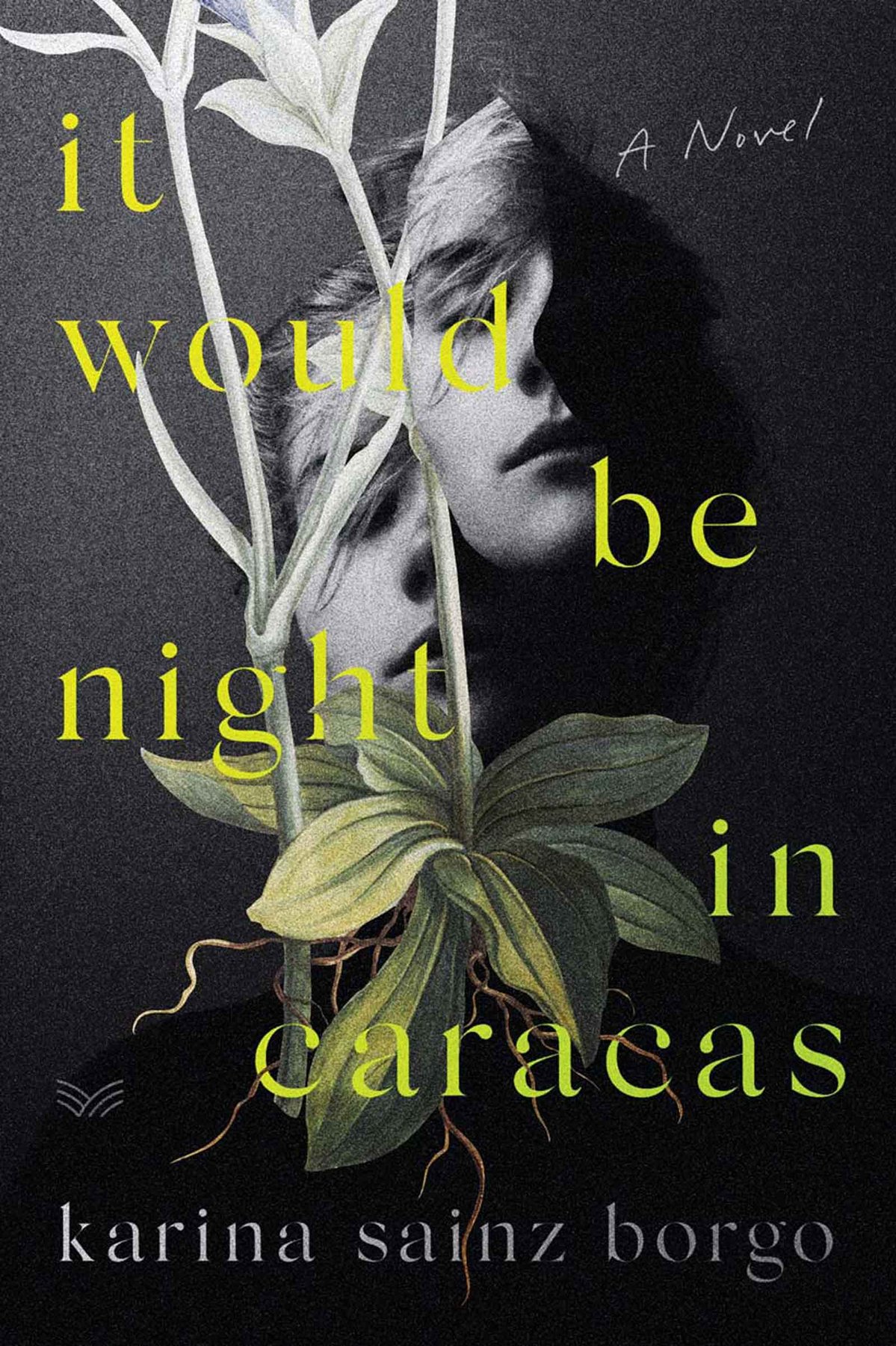 Cover of It Would Be Night in Caracas