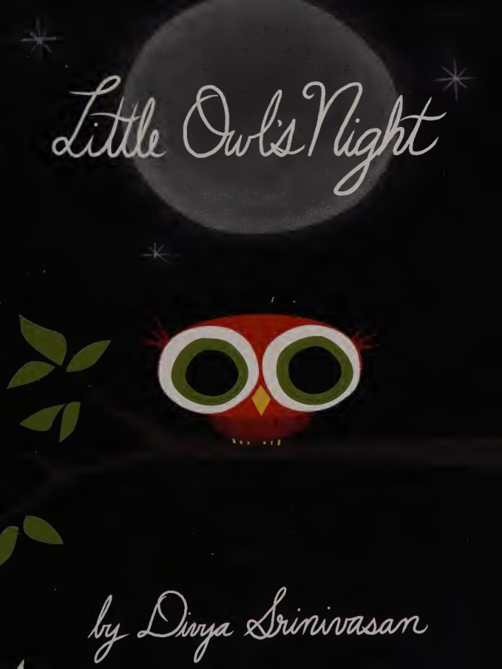 Cover of Little Owl's night