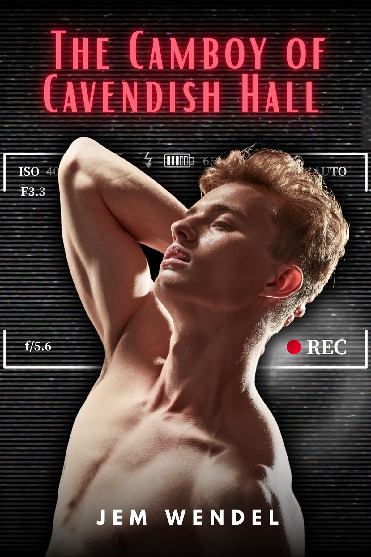 Cover of The Camboy of Cavendish Hall