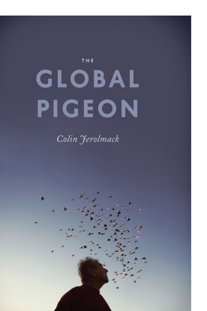 Cover of the global pigeon (1992)
