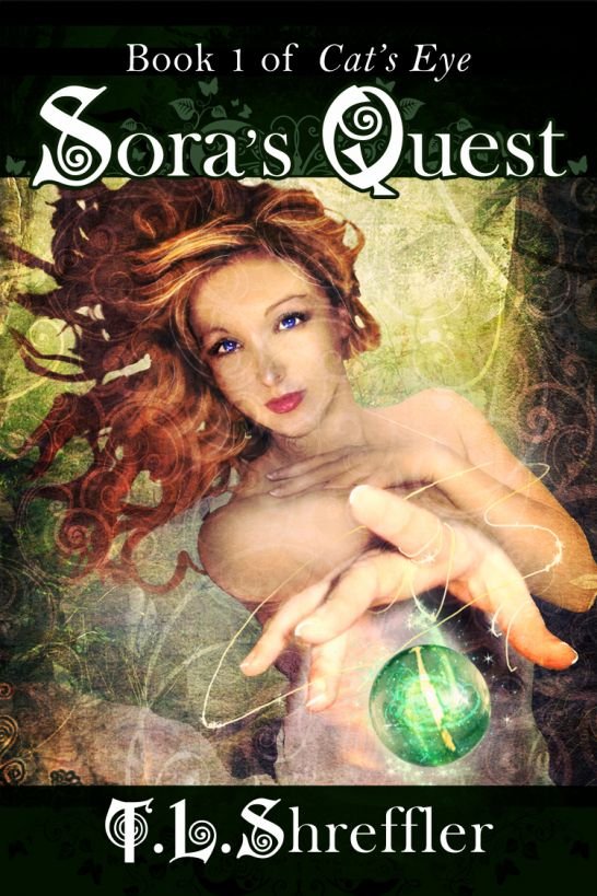 Cover of Sora's Quest (2003)