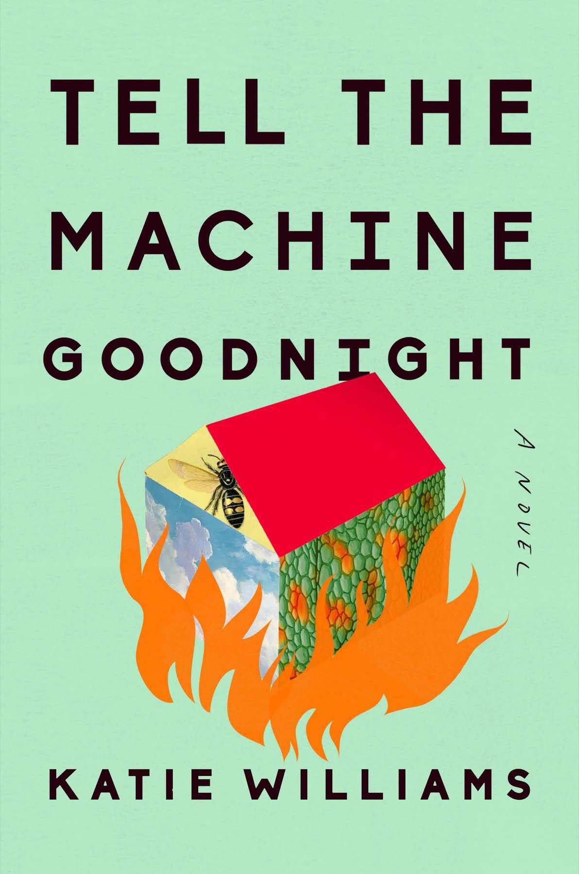 Cover of Tell the Machine Goodnight