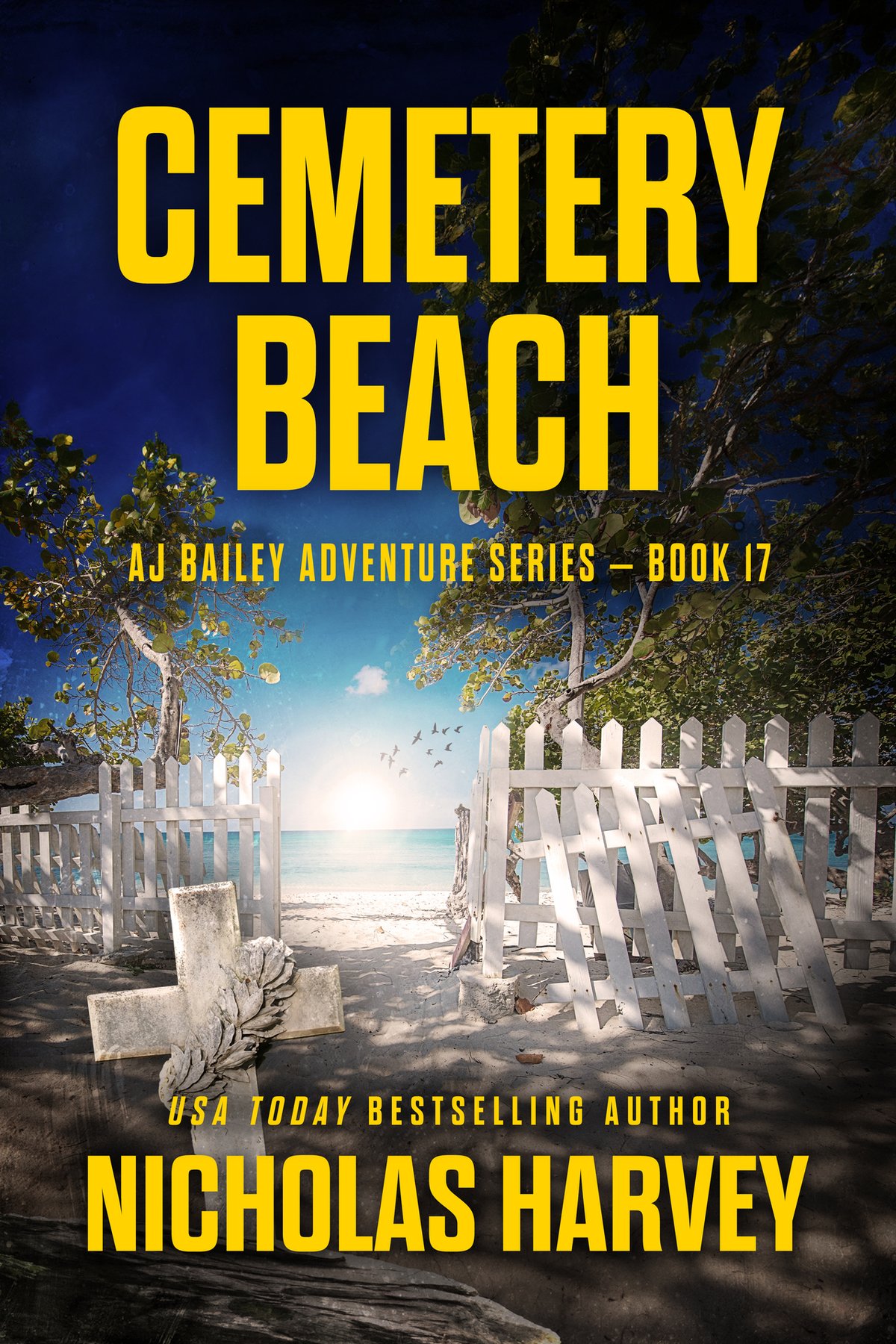 Cover of Cemetery Beach: AJ Bailey Adventure Series - Book Seventeen
