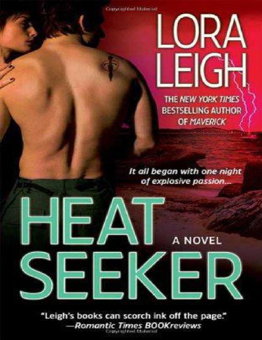 Cover of Heat Seeker