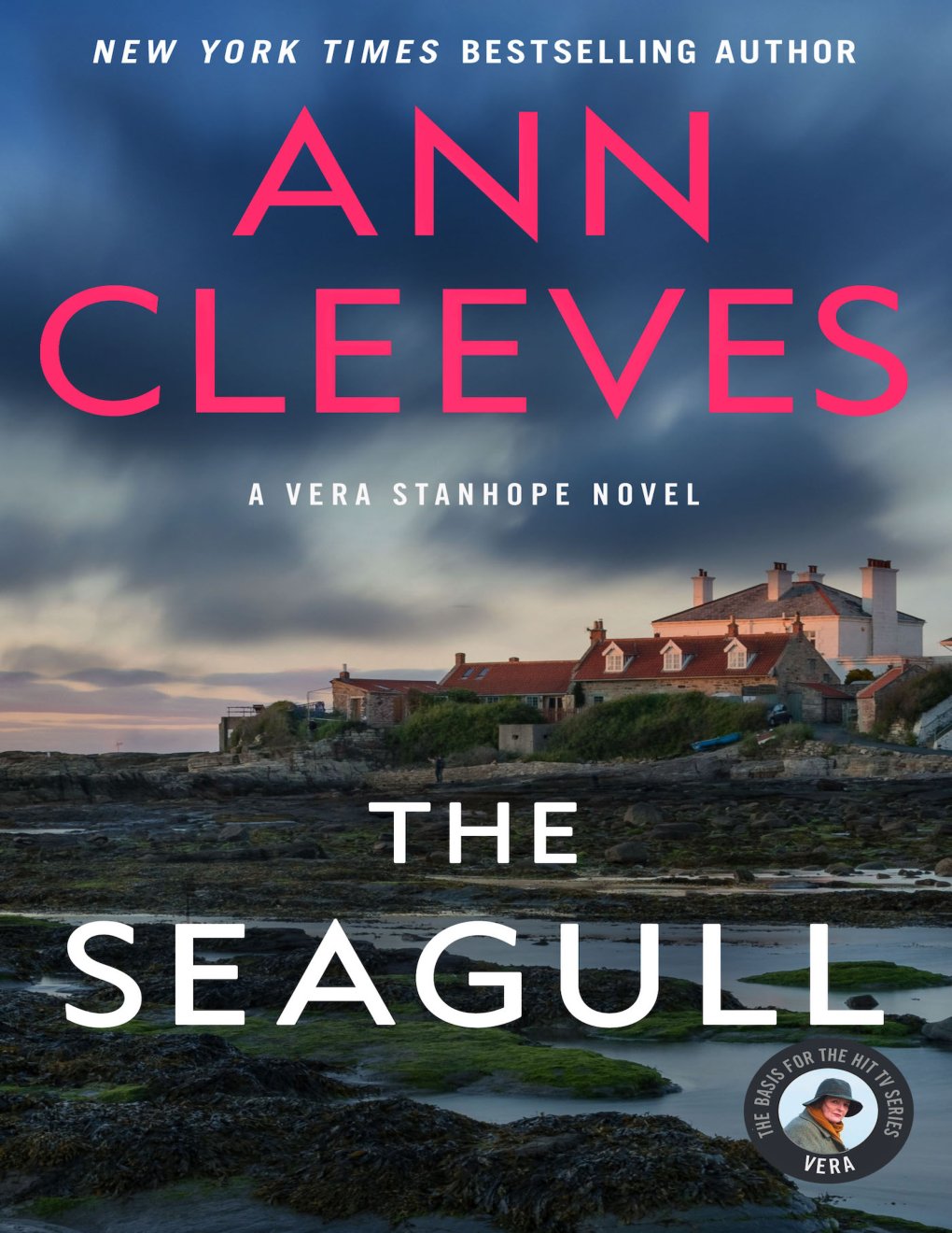 Cover of The Seagull