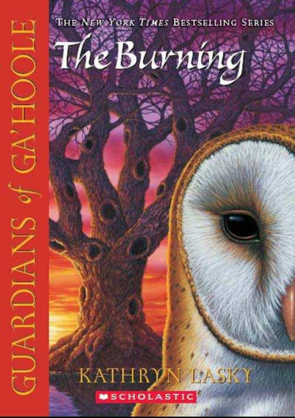 Cover of The Burning